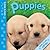 Little Lives: Puppies: A po...