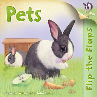 Flip The Flaps: Pets (Paperback)