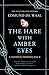 The Hare with Amber Eyes (Illustrated Edition): A Hidden Inheritance