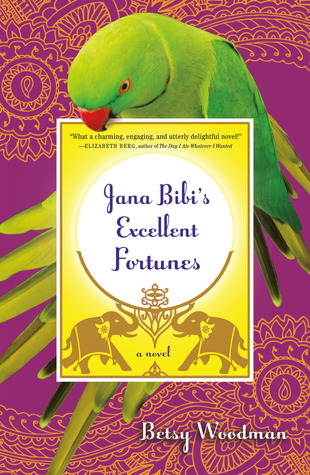 Jana Bibi's Excellent Fortunes (Jana Bibi Adventures #1)