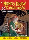 Small Volcanoes (Nancy Drew and the Clue Crew Graphic Novels #1)