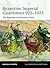 Byzantine Imperial Guardsmen 925-1025 by Raffaele D'Amato