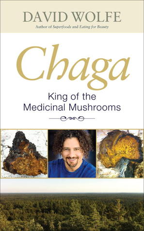 Chaga: King of the Medicinal Mushrooms (Paperback)