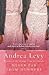 Never Far From Nowhere by Andrea Levy