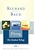 Flying by Richard Bach