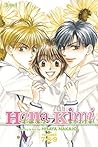 Hana-Kimi (3-in-1 Edition), Vol. 3 by Hisaya Nakajo
