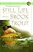 Still Life With Brook Trout