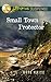 Small Town Protector (Love Inspired Suspense)