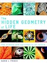 The Hidden Geomet...