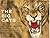 The Big Cats