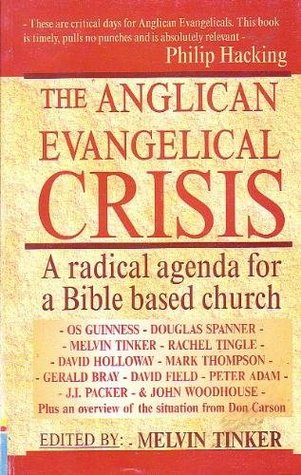 The Anglican Evangelical Crisis: A Radical Agenda for a Bible Based Church (Paperback)
