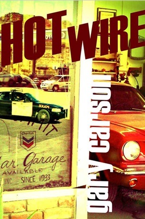 Hot Wire (Kindle Edition)