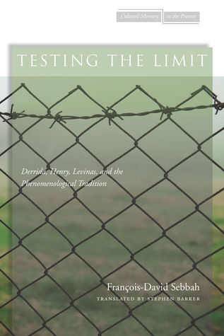 Testing the Limit: Derrida, Henry, Levinas, and the Phenomenological Tradition (Cultural Memory in the Present)