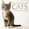 The Amazing Life of Cats The Amazing Life of Cats