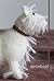 White Terrier Notebook (Best in Show Knitted Dog Notebooks)