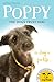 Poppy the Dogs Trust Dog (Dogs Trust, #1)