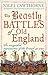 The Beastly Battles of Old England: The Misguided Manoeuvres of the British at War