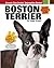 Boston Terrier by Peggy O. Swager