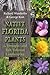 Native Florida Plants for Drought- and Salt-Tolerant Landscaping by Richard P. Wunderlin