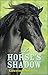 The Horse's Shadow by Lawrence Scanlan