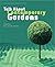 Talk About Contemporary Gardens