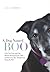 A Dog Named Boo: How One Dog and One Woman Rescued Each Other--and the Lives They Transformed Along the Way