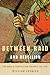 Between Raid and Rebellion: The Irish in Buffalo and Toronto, 1867-1916 (McGill-Queen’s Studies in Ethnic History) (Volume 2)