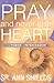 Pray and Never Lose Heart: ...