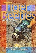 Tiger Beetles of Alberta: Killers on the Clay, Stalkers on the Sand