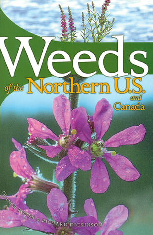 Weeds of the Northern U.S. and Canada: A Guide for Identification (Paperback)
