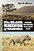 The Black Rhinos of Namibia...