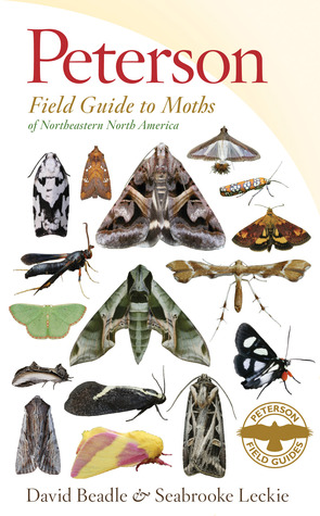 Peterson Field Guide To Moths Of Northeastern North America (Paperback)