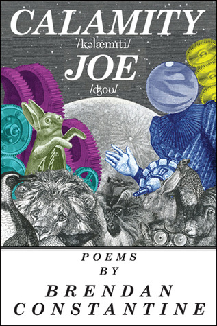 Calamity Joe (Paperback)