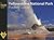 Falcon Guide Yellowstone National Park Pocket Guide by Ann Simpson