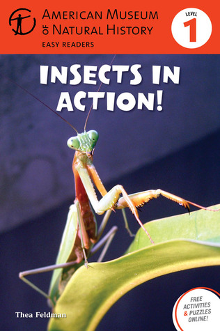 Insects in Action! (Level 1)