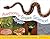 Awesome Snake Science!: 40 Activities for Learning About Snakes (2) (Young Naturalists)