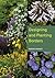 Designing and Planting Borders