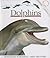 Dolphins (My First Discoveries)