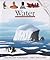 Water (First Discovery Series)