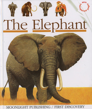 The Elephant