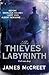 The Thieves' Labyrinth