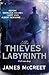 The Thieves' Labyrinth