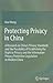 Protecting Privacy in China: A Research on China’s Privacy Standards and the Possibility of Establishing the Right to Privacy and the Information Privacy Protection Legislation in Modern China