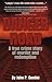 Danger Road by John P. Contini