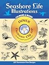 Seashore Life Illustrations