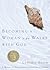 Becoming a Woman Who Walks with God by Cynthia Heald Becoming a Woman Who Walks with God by Cynthia Heald