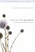 Trusting in His Goodness: A...