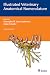 Illustrated Veterinary Anat...
