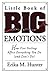 Little Book of Big Emotions...