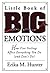 Little Book of Big Emotions by Erika M. Hunter